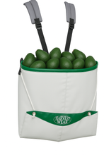 Load image into Gallery viewer, KB4505 White harvesting bucket with green rim filled with green avocados, lwith 'Harvest Wear'. logo - NZ made