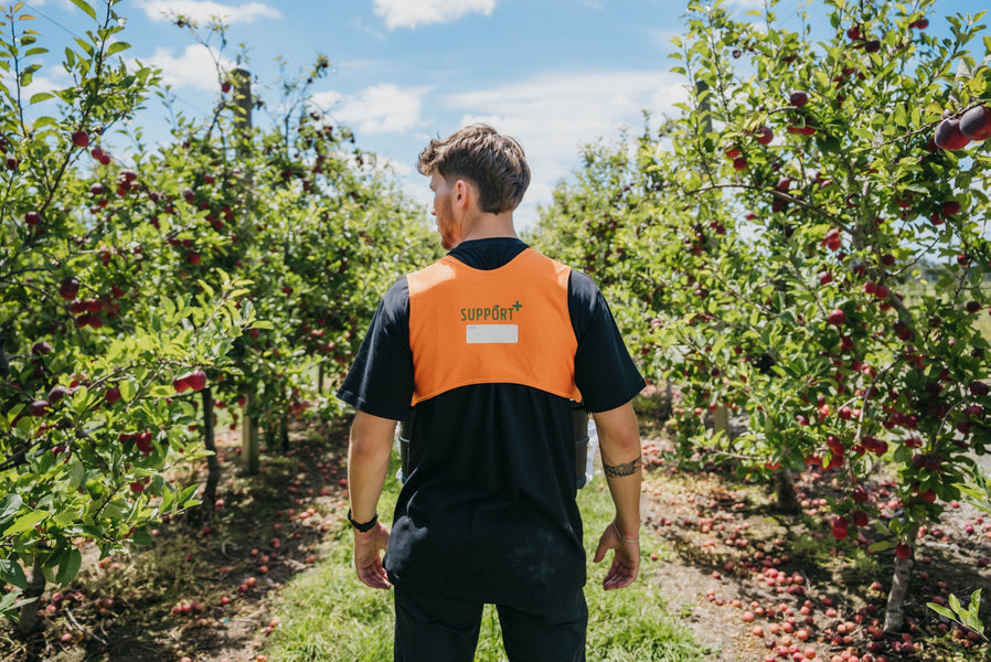 Introducing the 2026 YMSHW Support+ XL Harness — Engineered for Comfort, Built for Tough Days in the Orchard