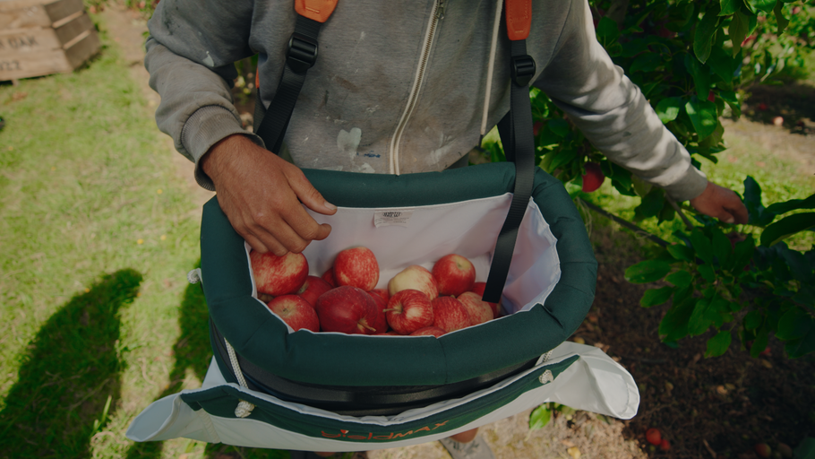 Choosing the Right Harvestwear Harness — The Key to Comfort, Productivity and Better Picking Results